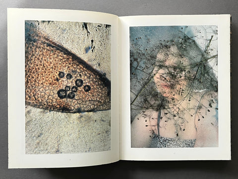 Coexistence - Setanta Books