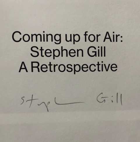Coming Up For Air: Stephen Gill – A Retrospective