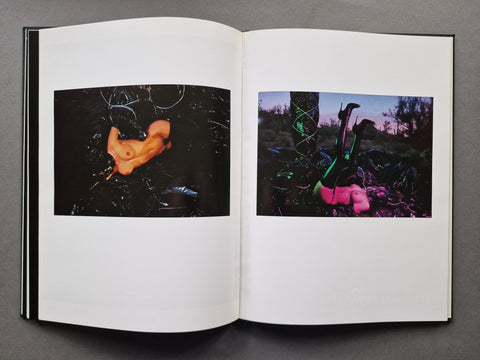 Contemporary American Erotic Photography Volume 1 - Setanta Books