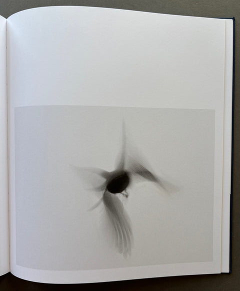 Crows Ascending - Setanta Books