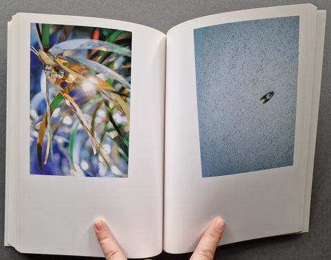 Cui Cui - Setanta Books