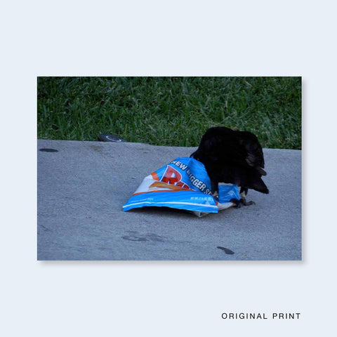 One Picture Book Two #39 : L.A. Dos