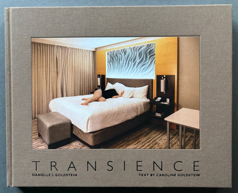Transience-Danielle-L-Goldstein-Setanta-Books