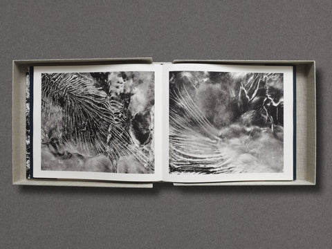 D'après nature Limited Edition with Print