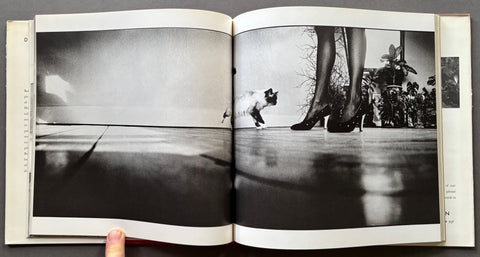 David Bailey's Trouble and Strife - Setanta Books