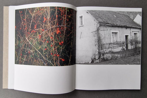 Deadfall - Setanta Books