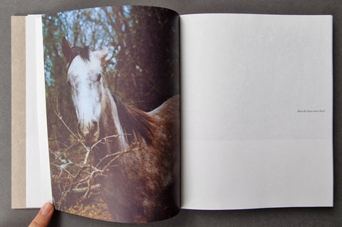 Deadfall - Setanta Books