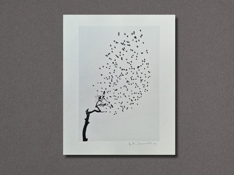 Delhi, India (Flock of Birds), 1999 - Setanta Books