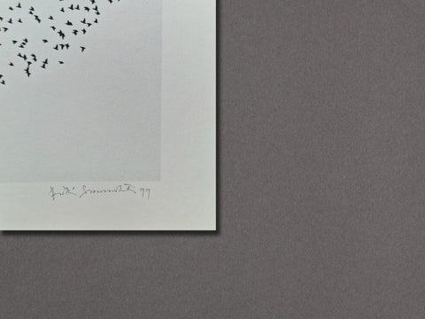 Delhi, India (Flock of Birds), 1999 - Setanta Books