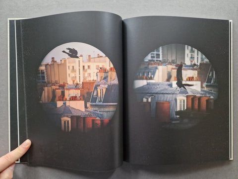 Des Oiseaux - Setanta Books