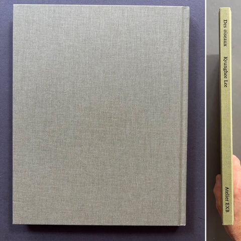 Des oiseaux - Setanta Books