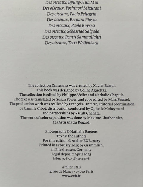 Des oiseaux - Setanta Books