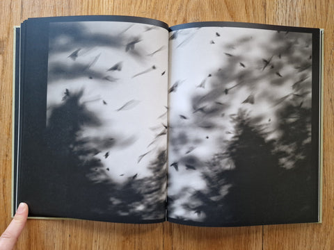 Des Oiseaux - Setanta Books