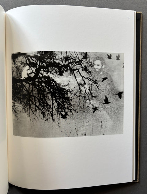 Des oiseaux - Setanta Books