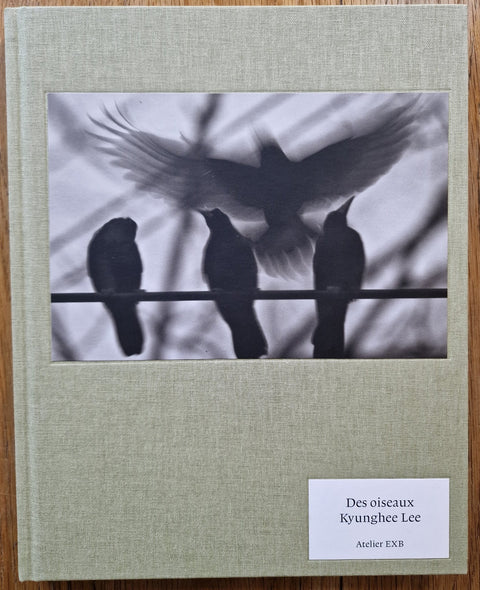 Des Oiseaux - Setanta Books