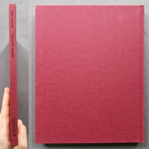 Des Oiseaux - Setanta Books