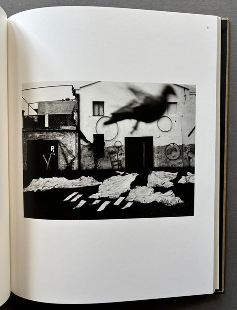 Des oiseaux - Setanta Books