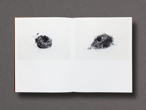 Des Oiseaux Limited Edition with Print