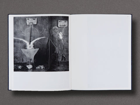 Des Oiseaux Limited Edition with Print