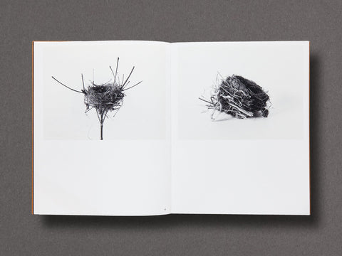 Des Oiseaux Limited Edition with Print