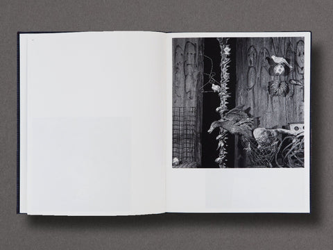 Des Oiseaux Limited Edition with Print
