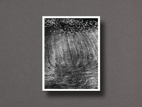 Des Oiseaux Limited Edition with Print
