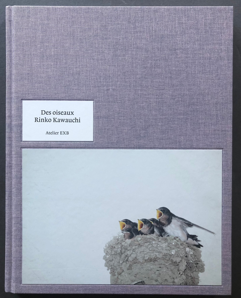 Des Oiseaux