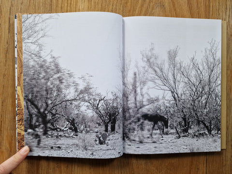 Desire Lines - Setanta Books