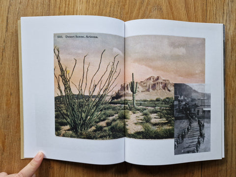 Desire Lines - Setanta Books