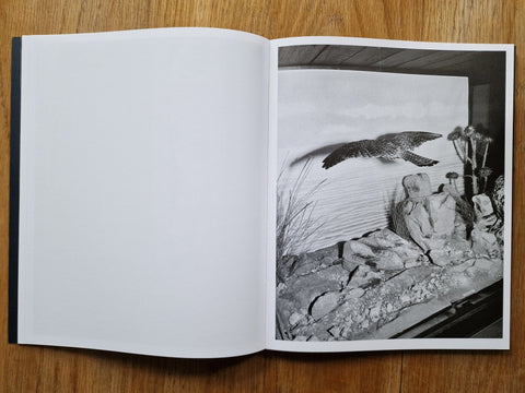 Diachronicles - Setanta Books
