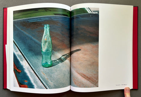 Diesel Fried Chicken - Setanta Books