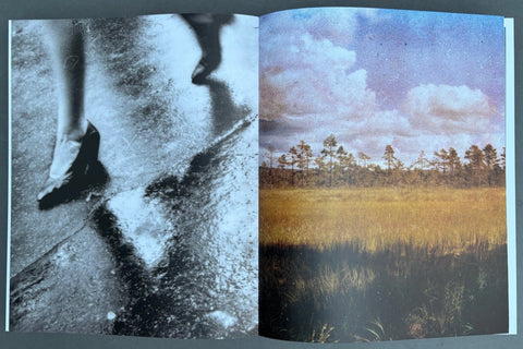 Dimma Brume Mist - Setanta Books