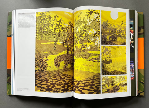 Disruptive Pattern material - Setanta Books