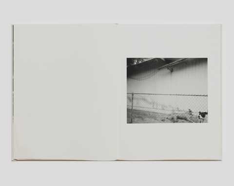 DOGBREATH - Setanta Books