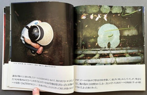 Dog's Nose: Whimsical Photos And Walks - Setanta Books