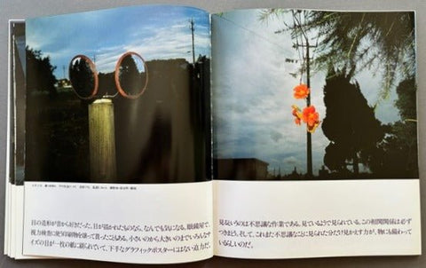 Dog's Nose: Whimsical Photos And Walks - Setanta Books