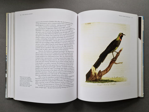 Drawn From Paradise: The Discovery, Art and Natural History of the Birds of Paradise - Setanta Books