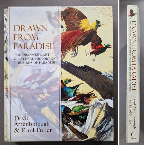 Drawn From Paradise: The Discovery, Art and Natural History of the Birds of Paradise - Setanta Books
