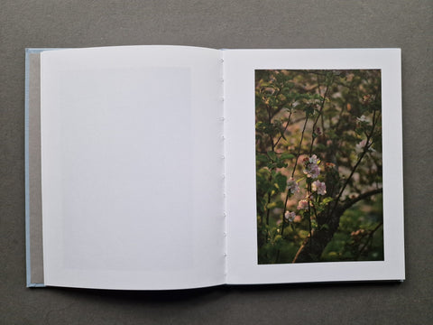 Duet on the Apple Blossom - Setanta Books