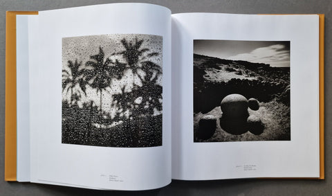 An open art book, showing two black-and-white photographic prints: a textured palm tree scene on the left page and a landscape with rounded stone forms on the right page.