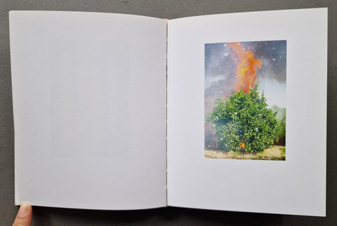 El porqué de las naranjas - Setanta Books