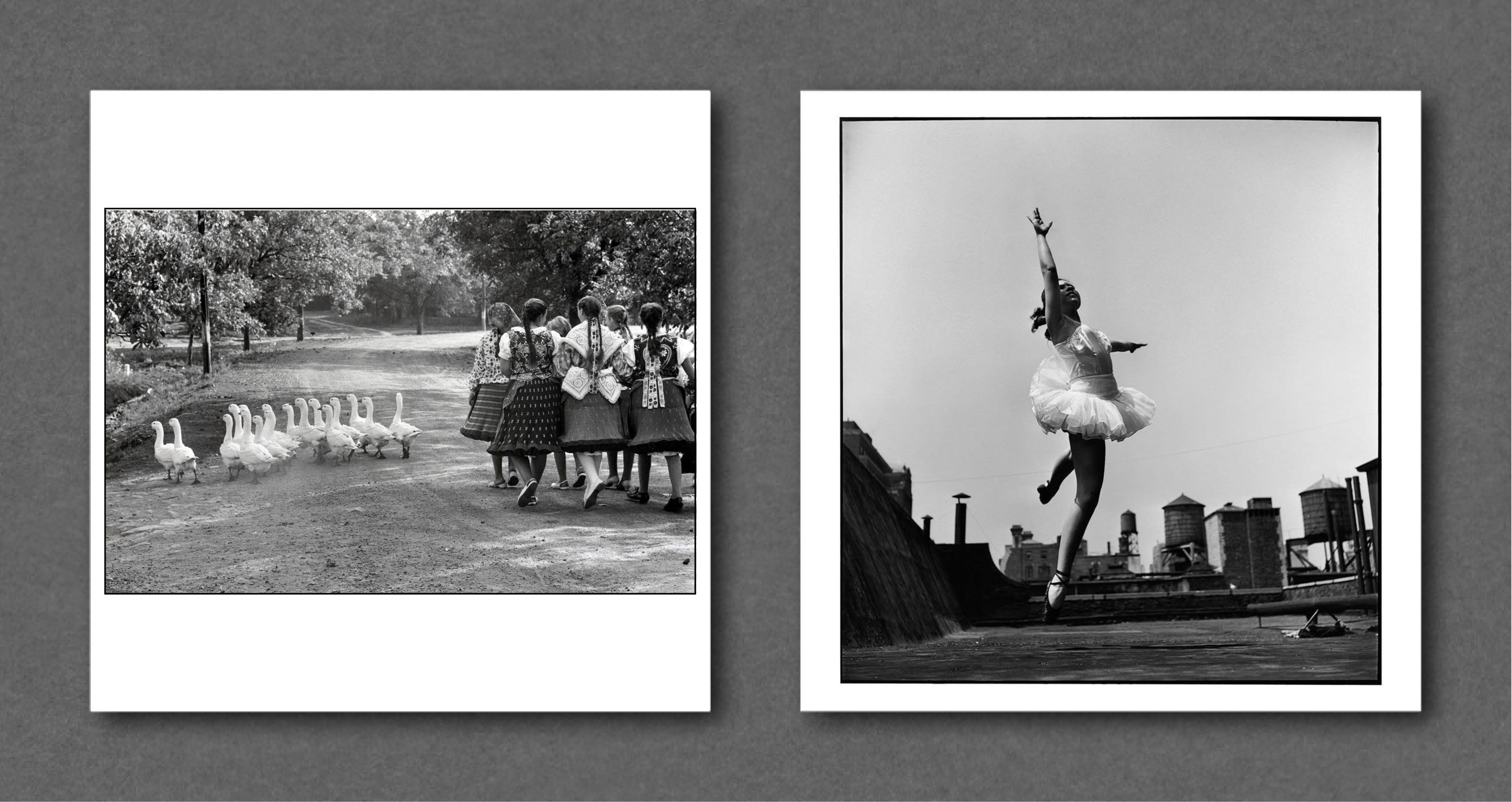 Buy Elliott Erwitt Magnum Square Prints – Setanta Books