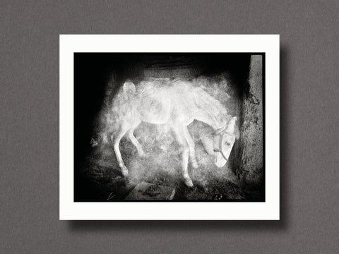 End Time City Limited Edition with Choice of 2 Prints