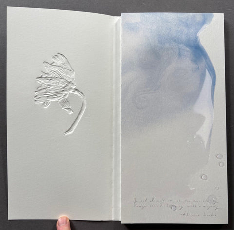 Ephemeral field Journal - Climate and Love in Claude Monet's Garden - Setanta Books