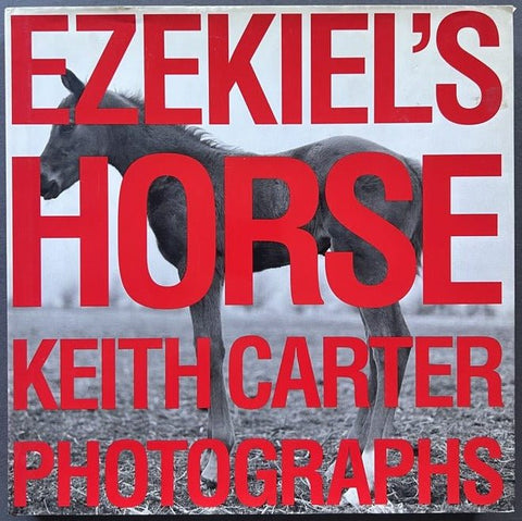 Ezekiel's Horse - Setanta Books