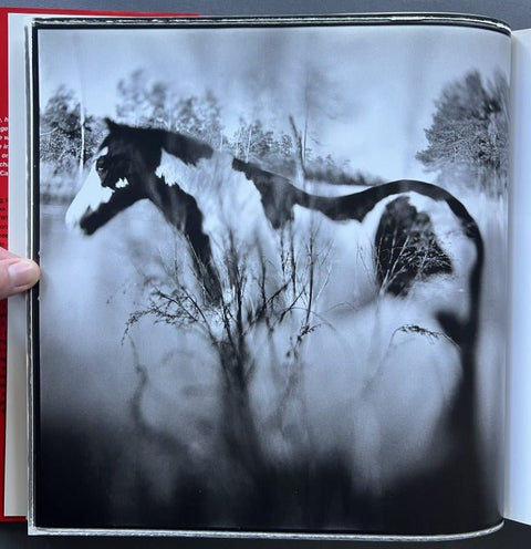 Ezekiel's Horse - Setanta Books