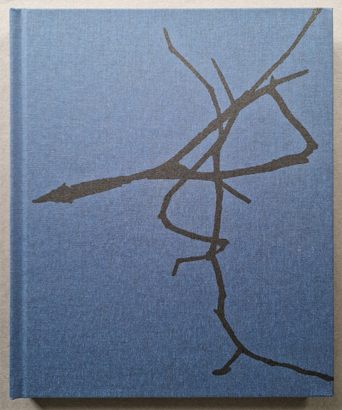 False Friends (Print Options Available) - Setanta Books
