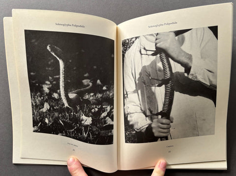 Fauna - Setanta Books