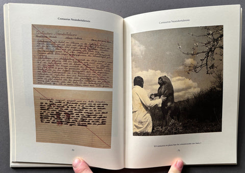 Fauna - Setanta Books