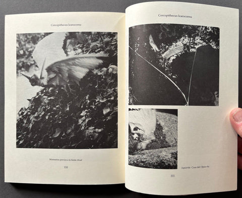 Fauna - Setanta Books